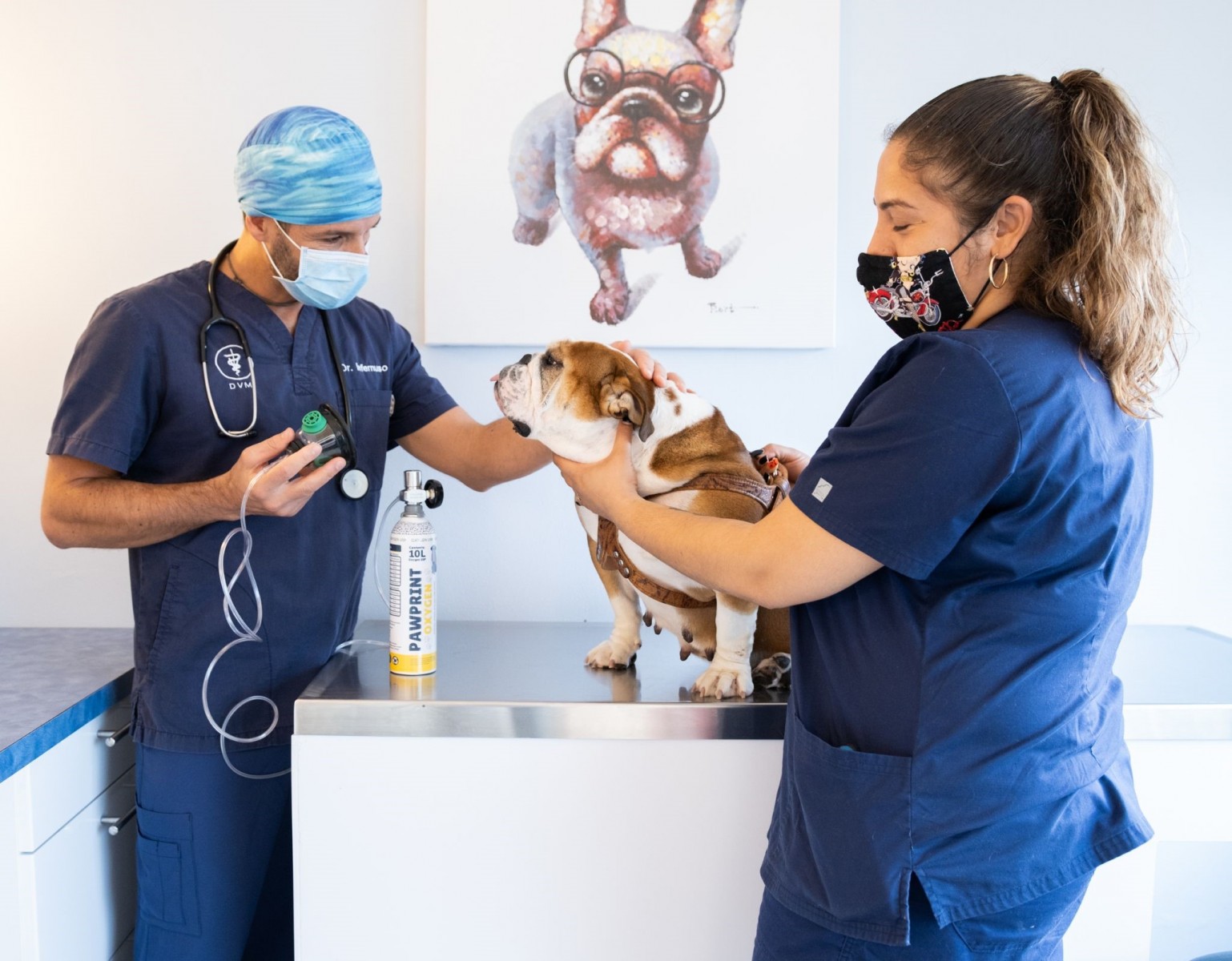 Making a PAWS-itive Impact