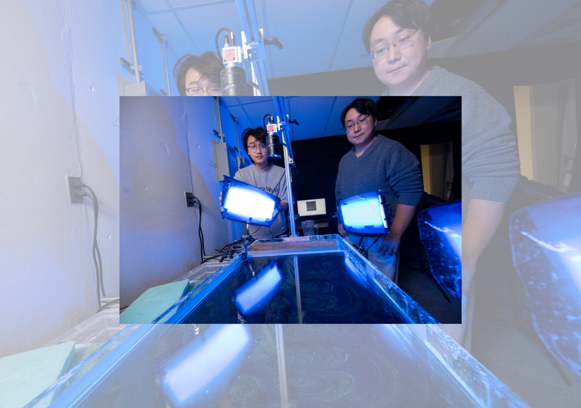 Uncovering Patterns amid Chaos