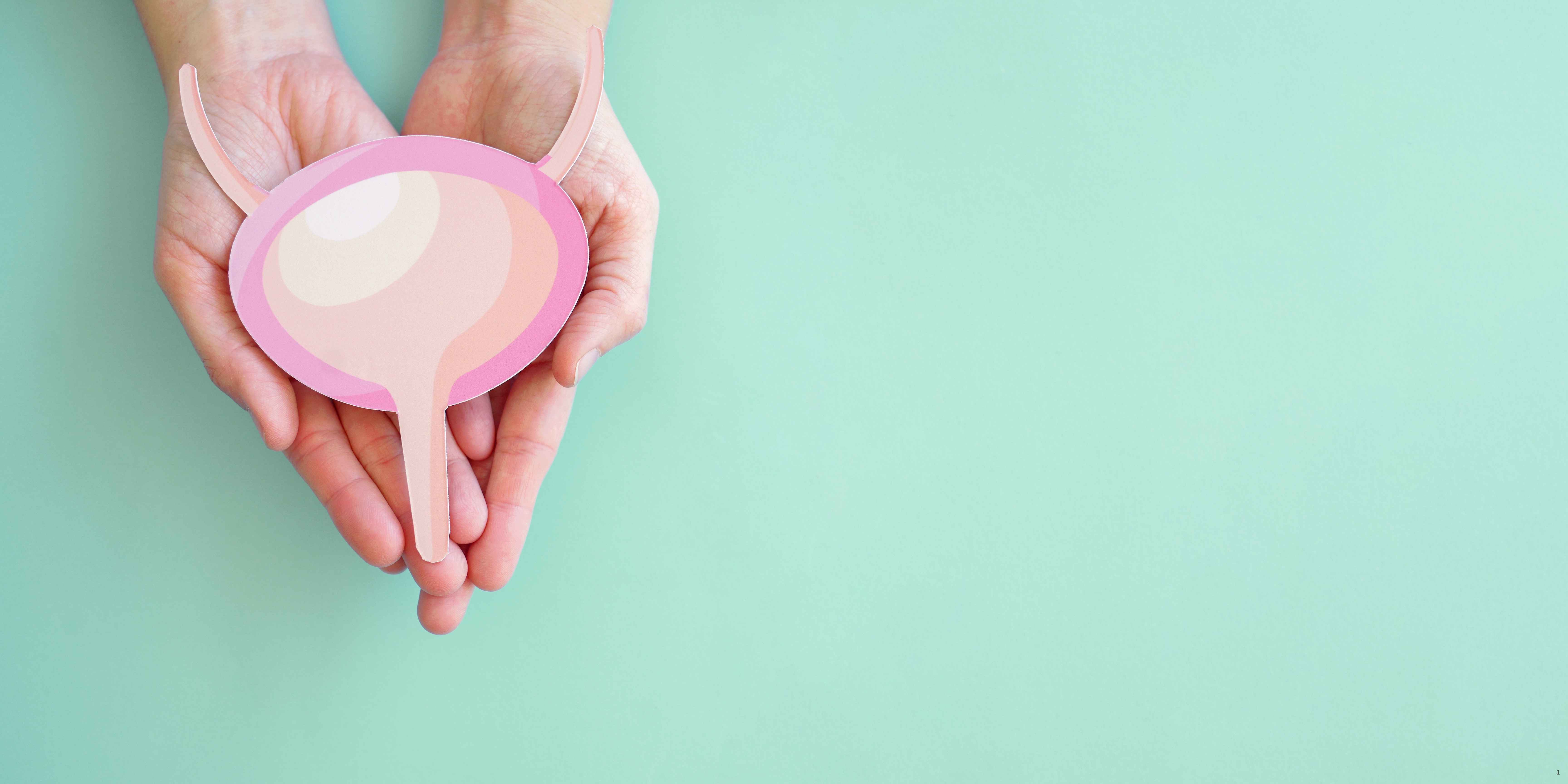 Unfolding the truth about bladder function