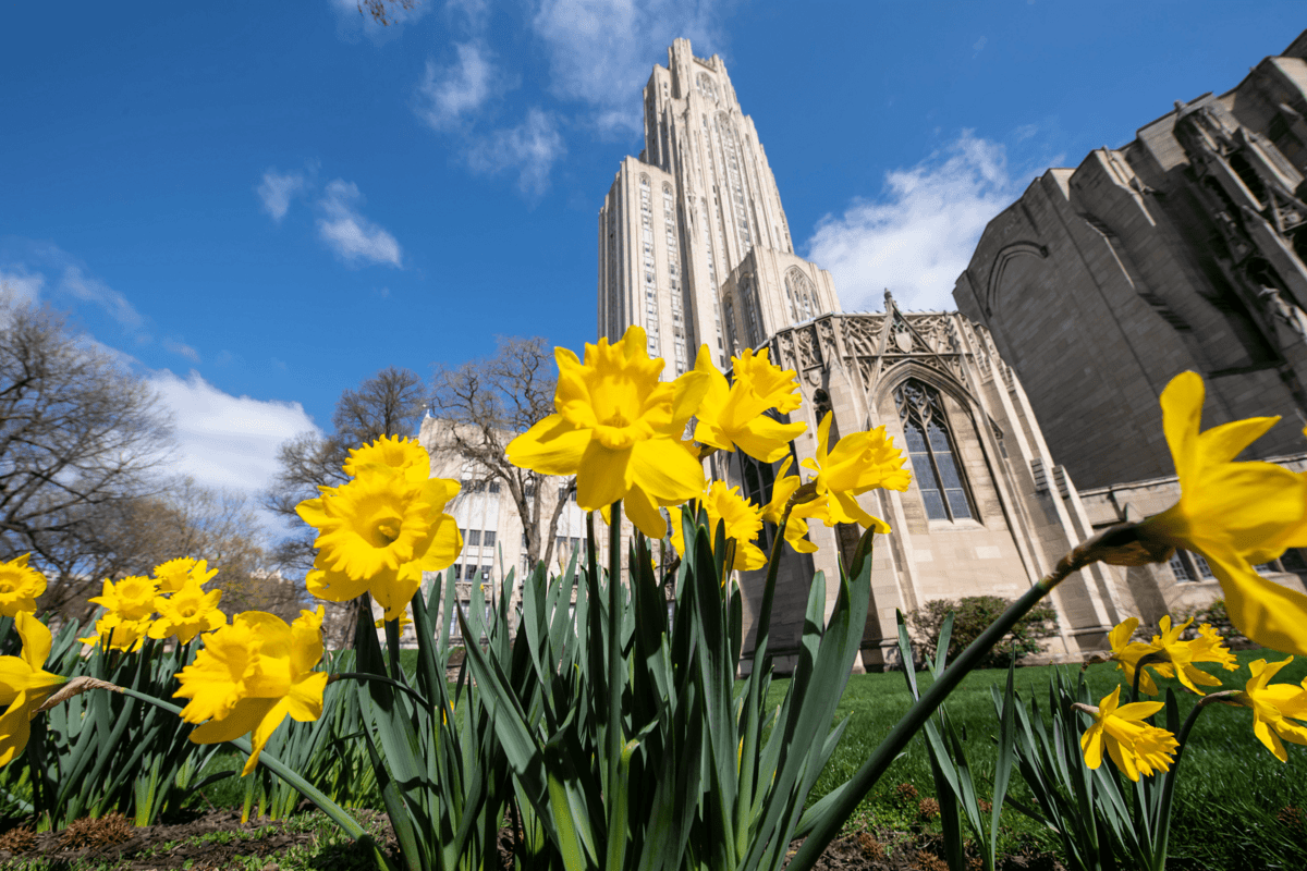 The Future Of Industrial Engineering Education