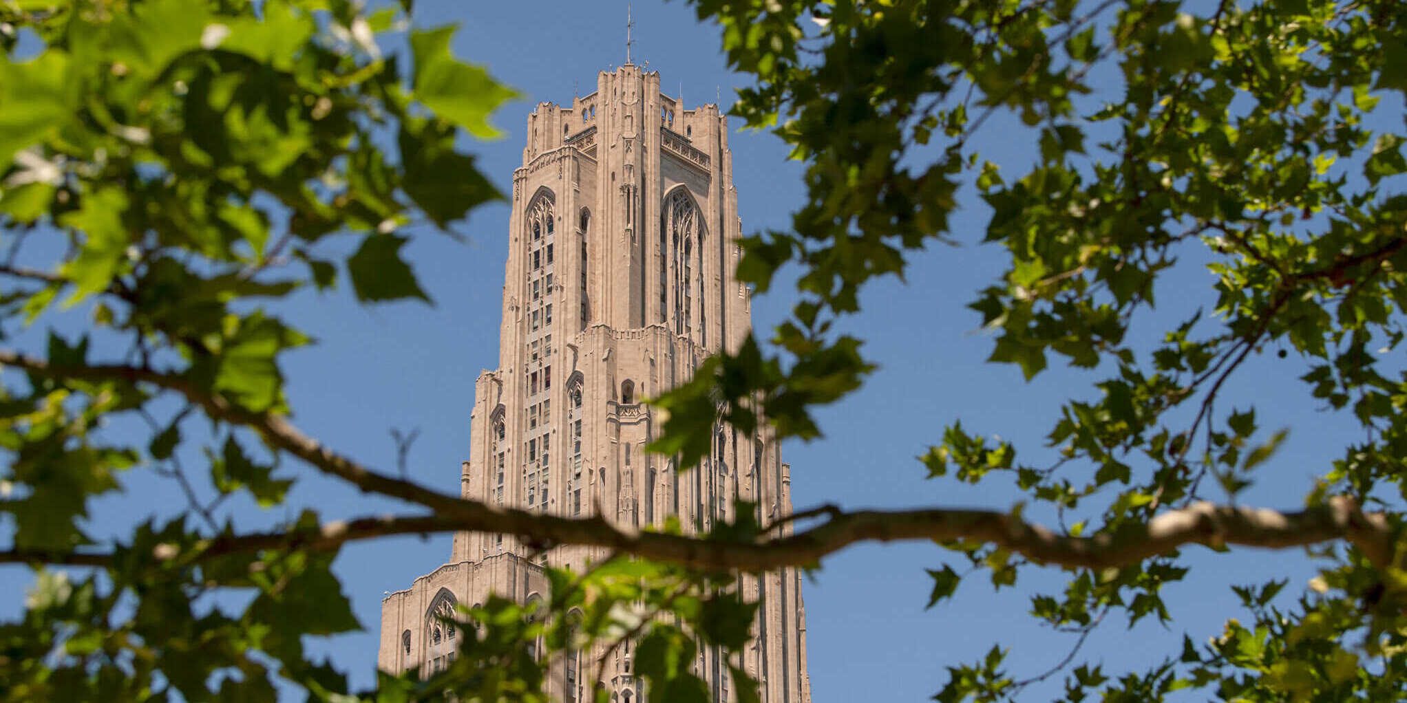Pitt with CMU, WVU named finalist for $160M NSF Engines Award