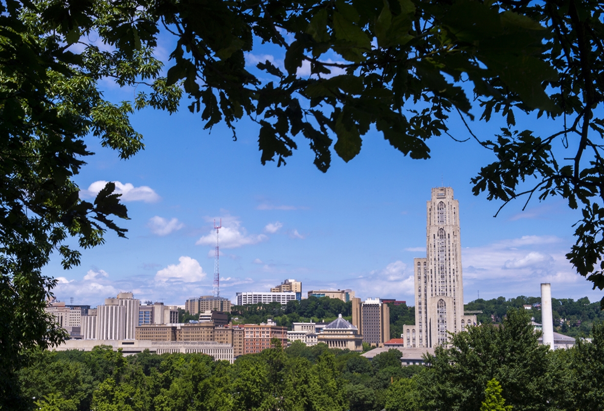 Alumni Spotlight Yan Wang (CEE PhD ’20)