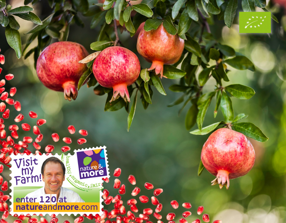 Product of the week: precious pomegranates