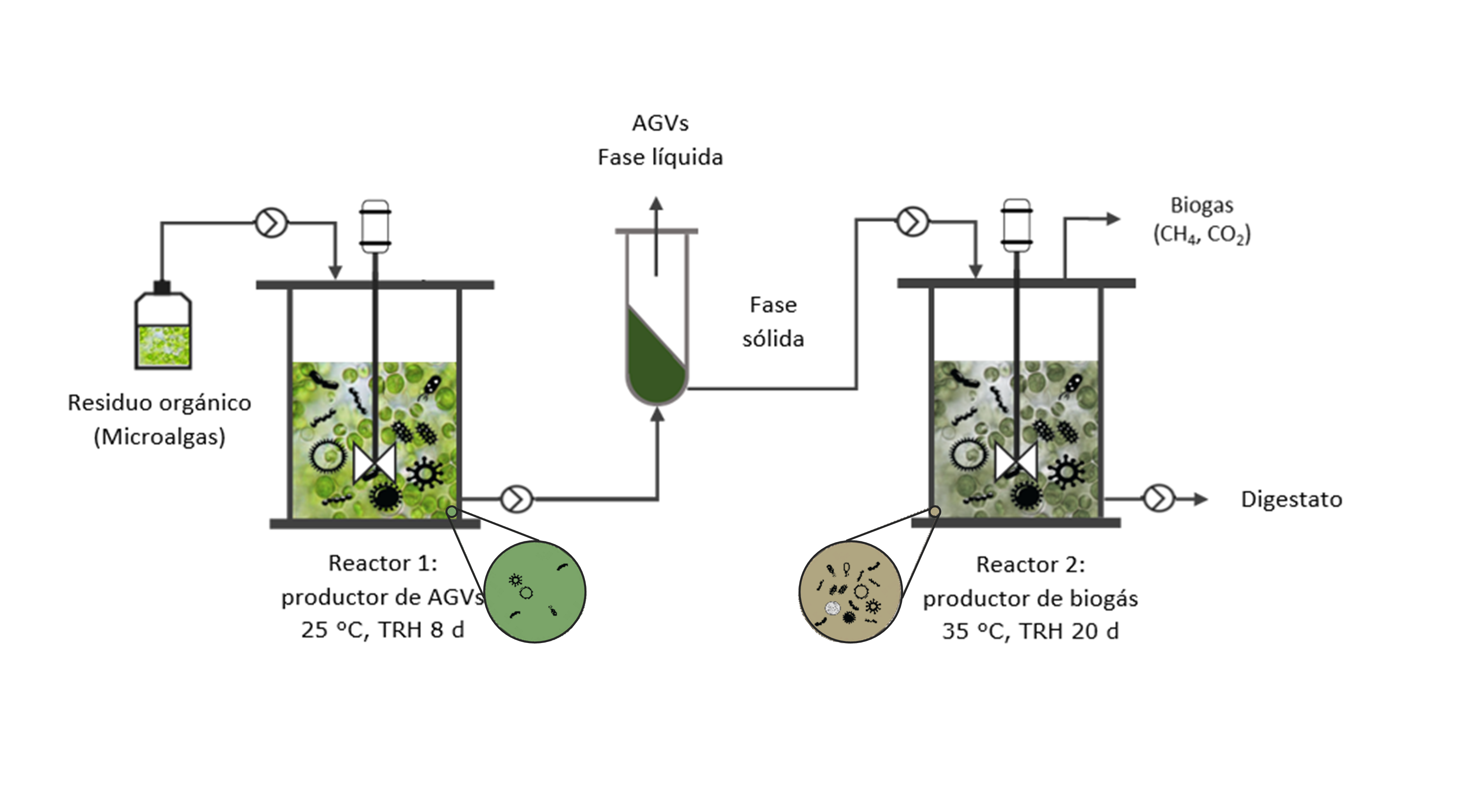 Manipulation of the Anaerobic Fermentation Process to Produce