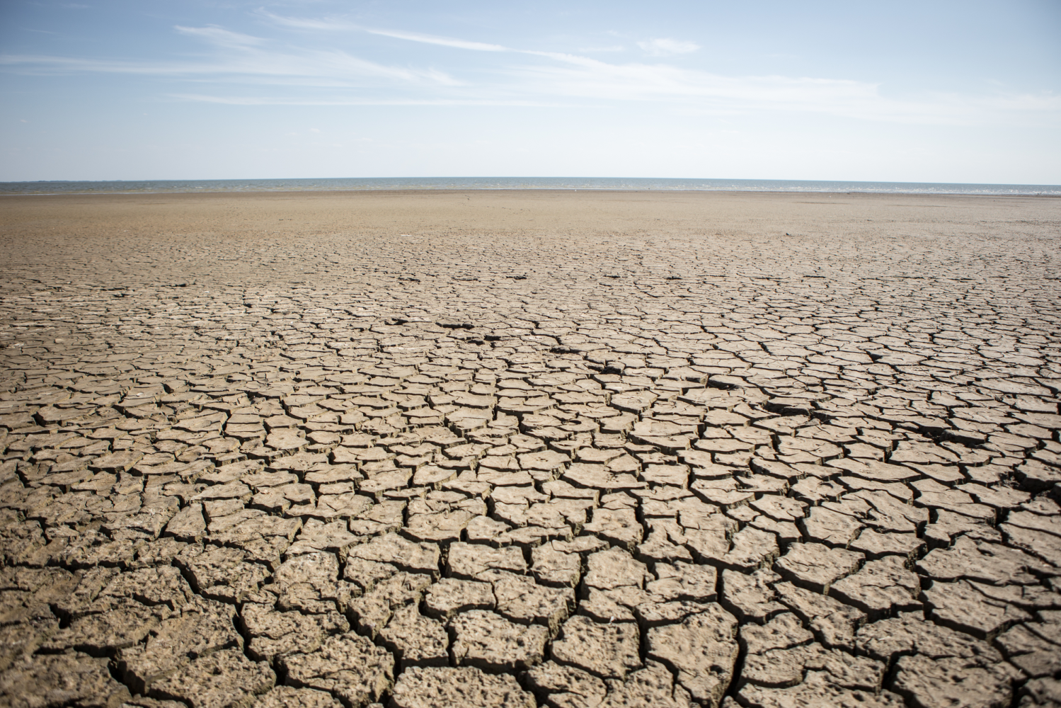 20251015_DAT_general-Dry_cracked_ground