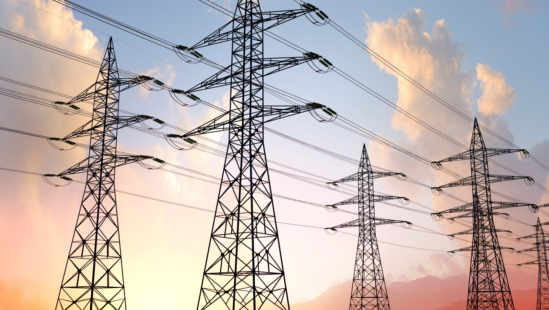 20250219_Power poles