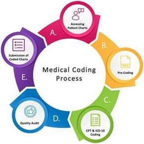 medical coding