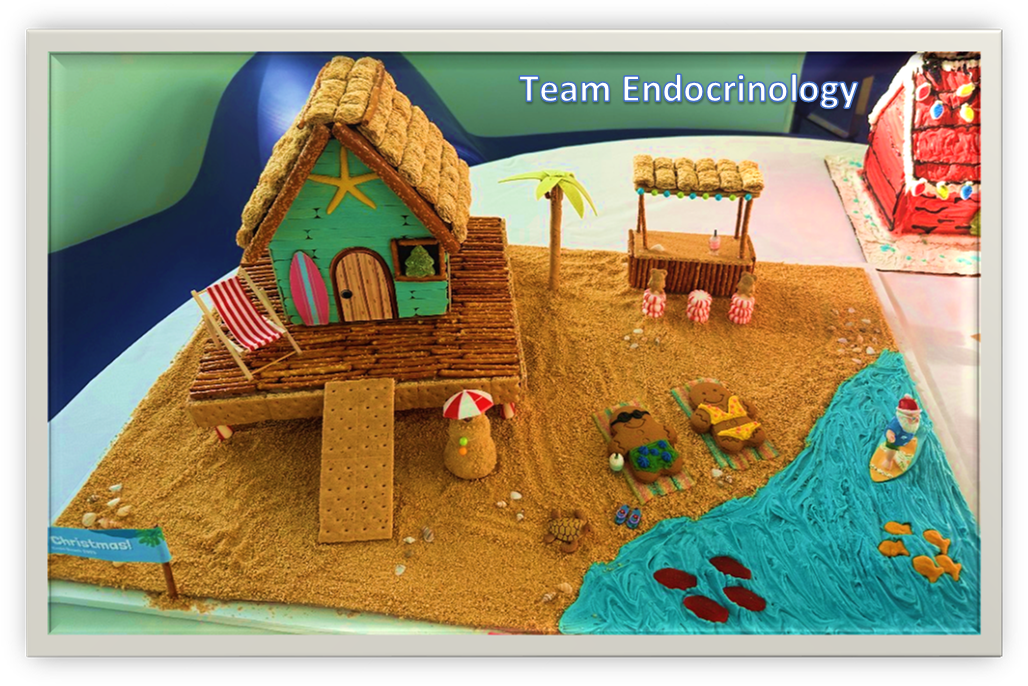 Prosper MOB Gingerbread House Winner 2025