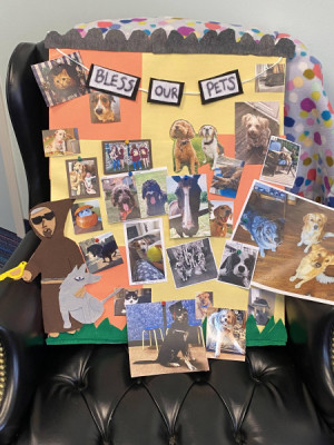 St Fr Animal Board 2022