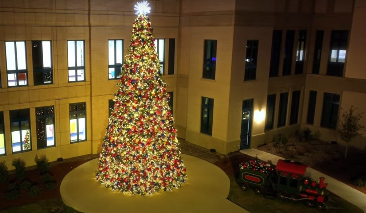 Tree at Prosper 