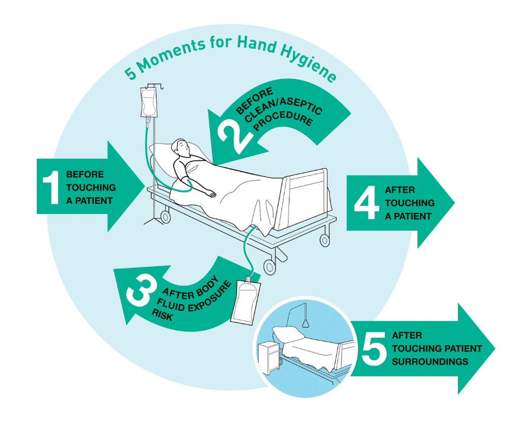5 moments of hand hygiene