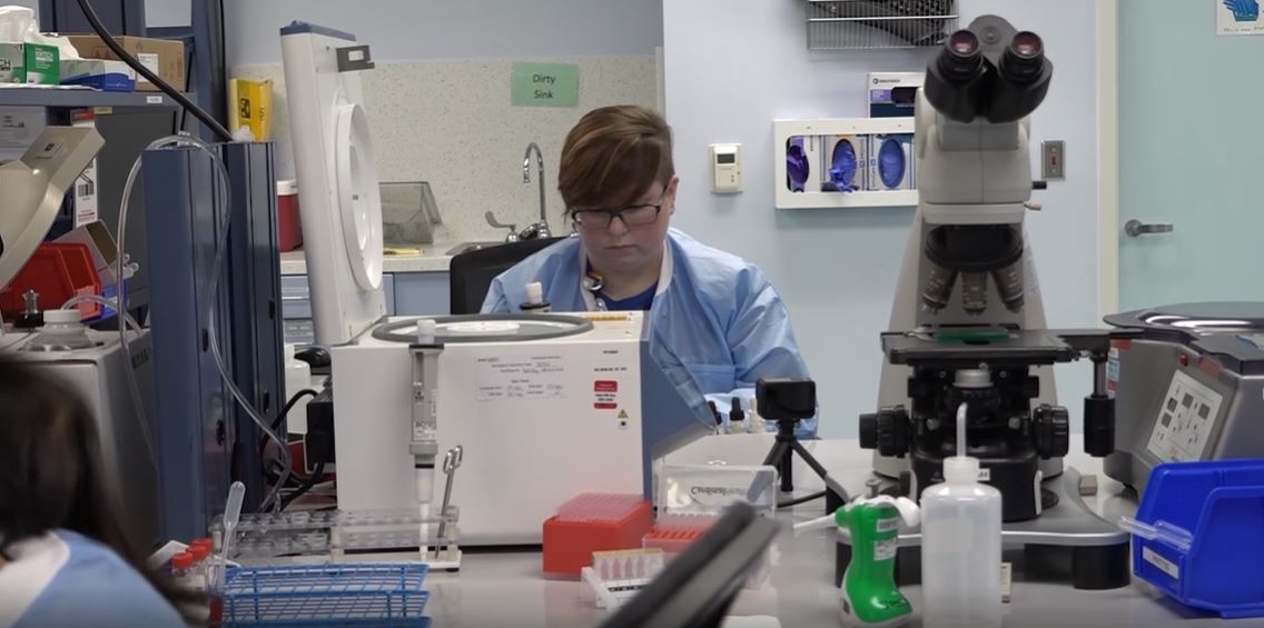 lab services