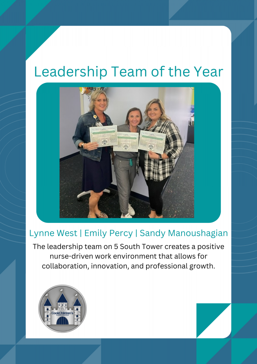 Leadership team of the year award