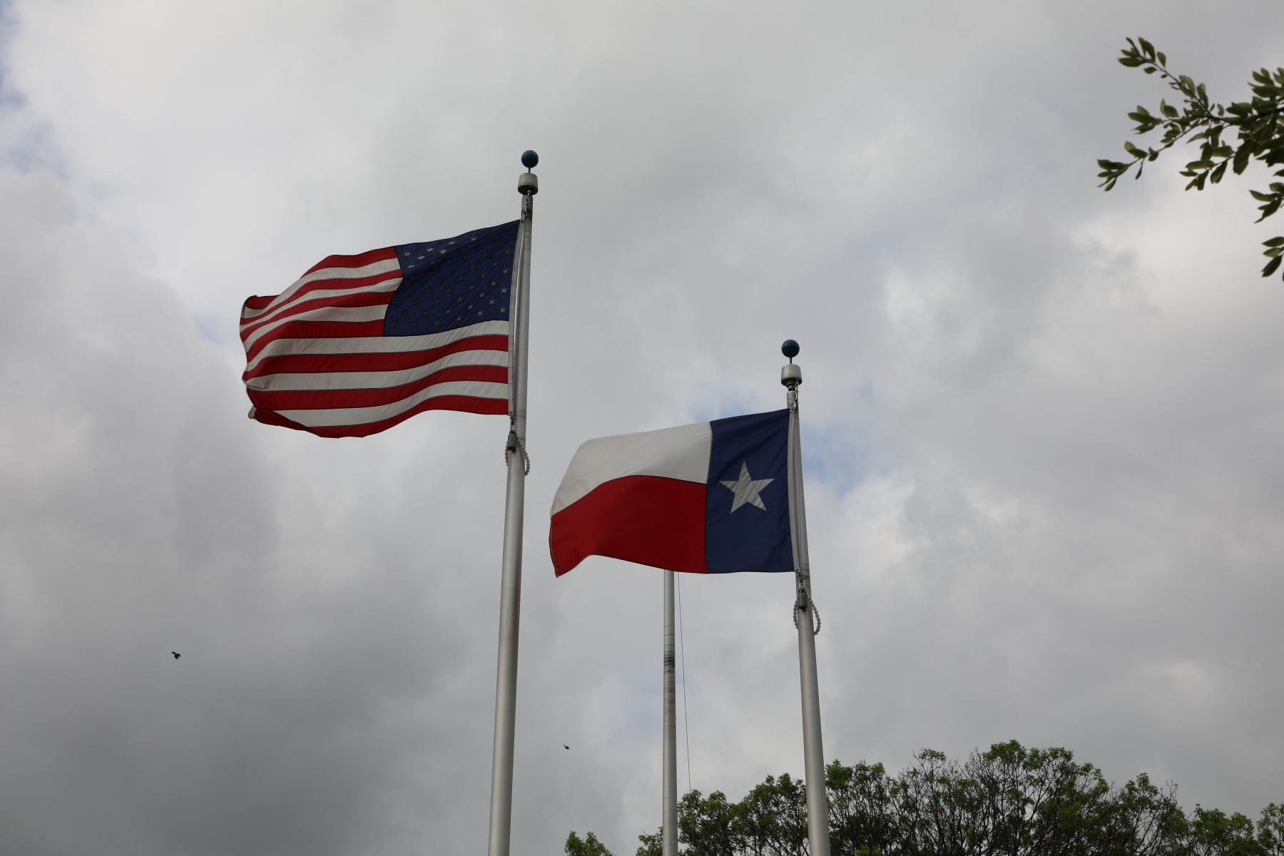 Donate Life Flag Raising 2022