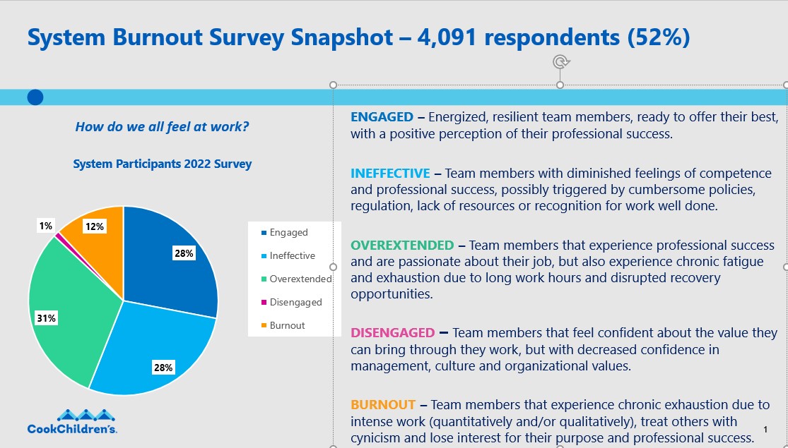 Burnout Survey Snapshot