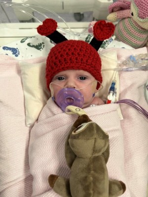 Love Bug Hats Heart Month