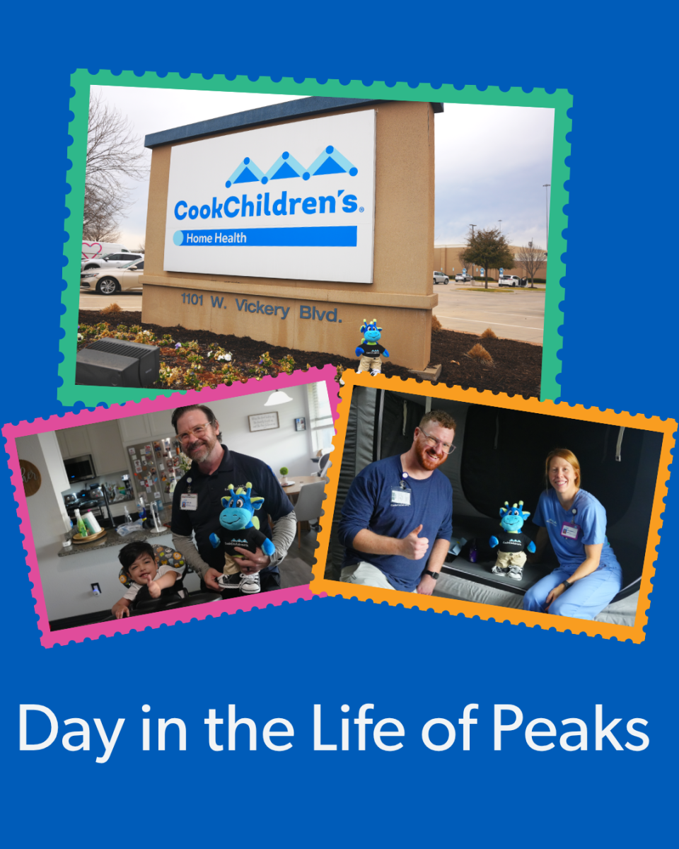Day in the Life of Peaks
