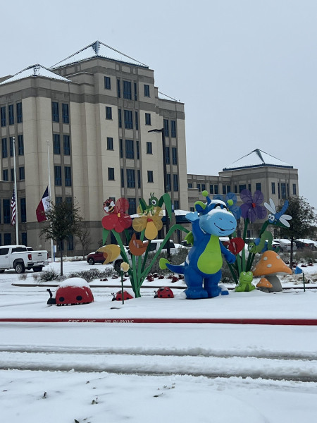 Winter Weather 2025 (1)