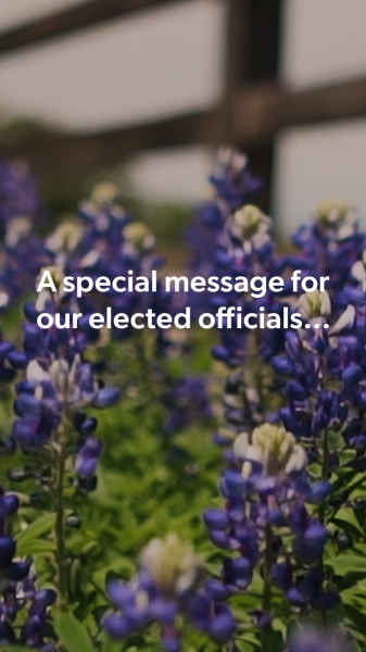 SPECIAL MESSAGE THUMBNAIL_9X16
