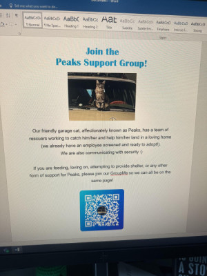 Peaks_Signage