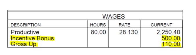 Pay Stub 