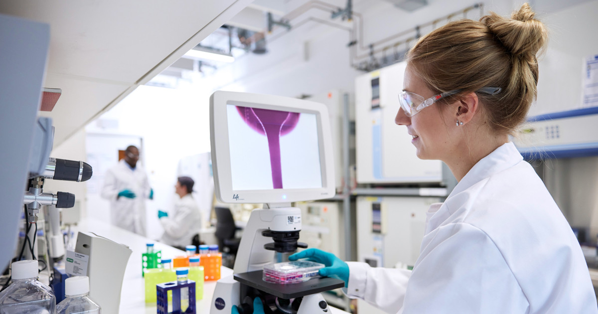 Bayer and Soufflé Therapeutics announce strategic collaboration to advance cell-specific heart-targeted siRNA therapy