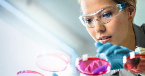 Bayer Accelerates Pharma Growth on High-Value Portfolio