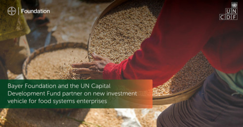 Bayer Foundation and United Nations Capital Development Fund partner on new investment vehicle for food systems enterprises
