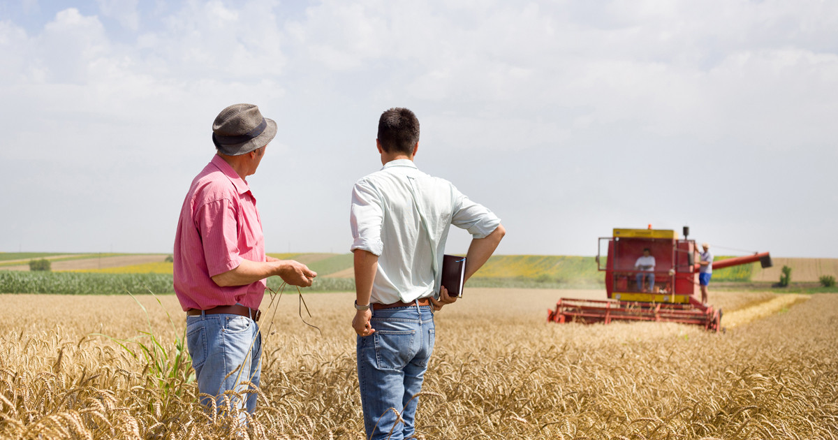 EU and UK Risk Falling Further Behind Global Agricultural Competitors, Weakening Strategic Autonomy