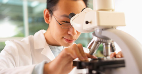 US-FDA erteilt Bayer’s Sevabertinib beschleunigte Zulassung als initiale Behandlungsoption von Erwachsenen mit HER2-mutiertem nicht-kleinzelligem Lungenkrebs