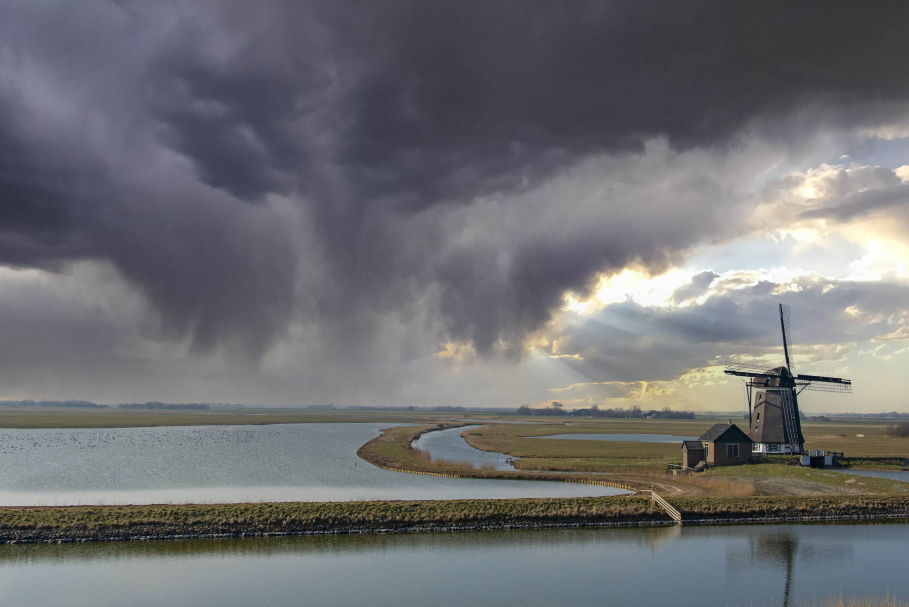 Our Dutch non-life insurance business and the Amsterdam School of Econ