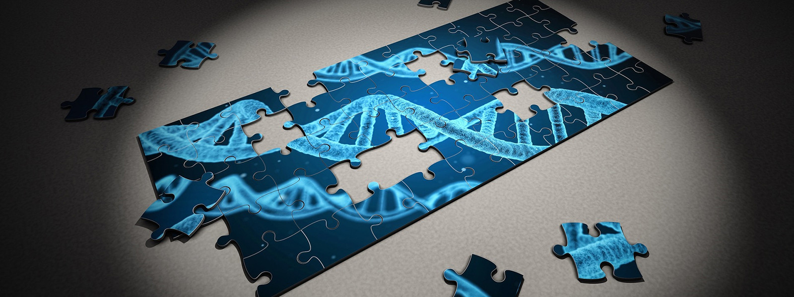 dna-puzzel
