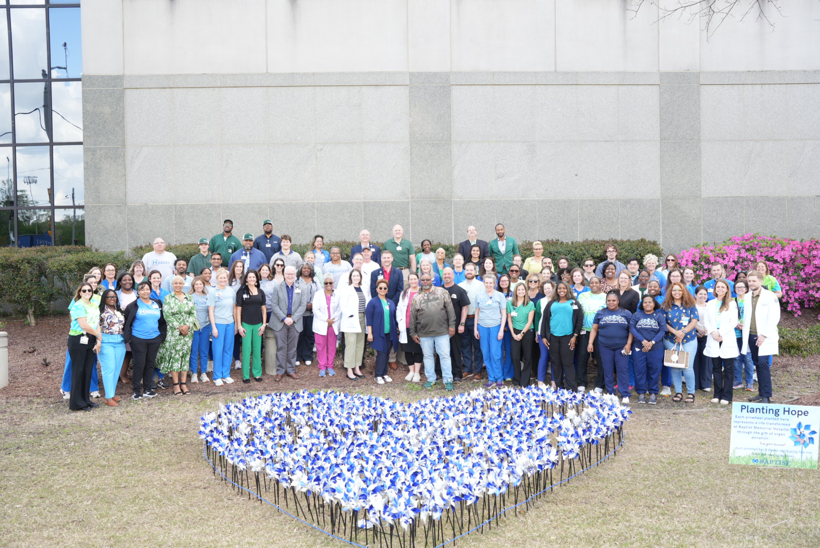 Baptist Heart Institute and Mid-South Transplant Foundation planted pinwheels representing transplants performed at Baptist.