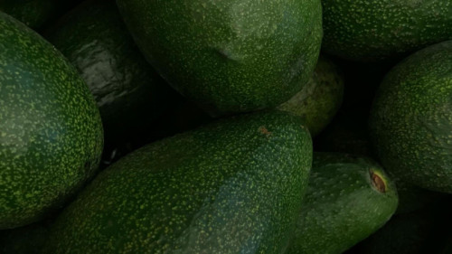 Ahold Delhaize share buyback update February 24, 2026