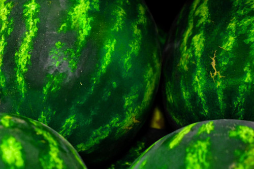 Ahold Delhaize share buyback update January 20, 2026