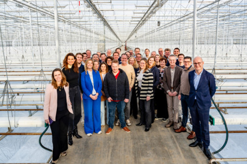 Albert Heijn, Eneco and Bakker Barendrecht work together to accelerate sustainability in Dutch greenhouse horticulture