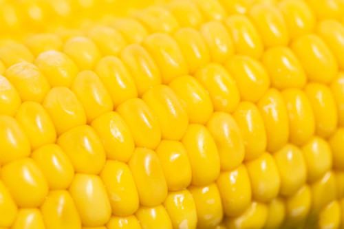 Ahold Delhaize share buyback update January 27, 2026