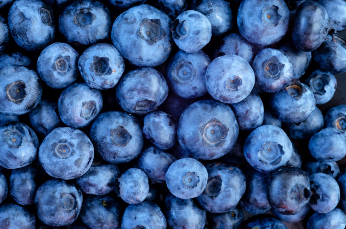 blueberries 