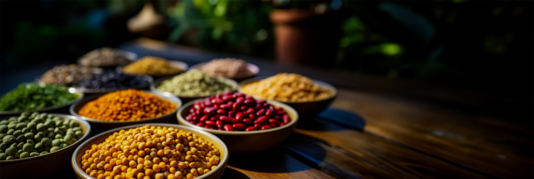 Amino acids and their effect on our body