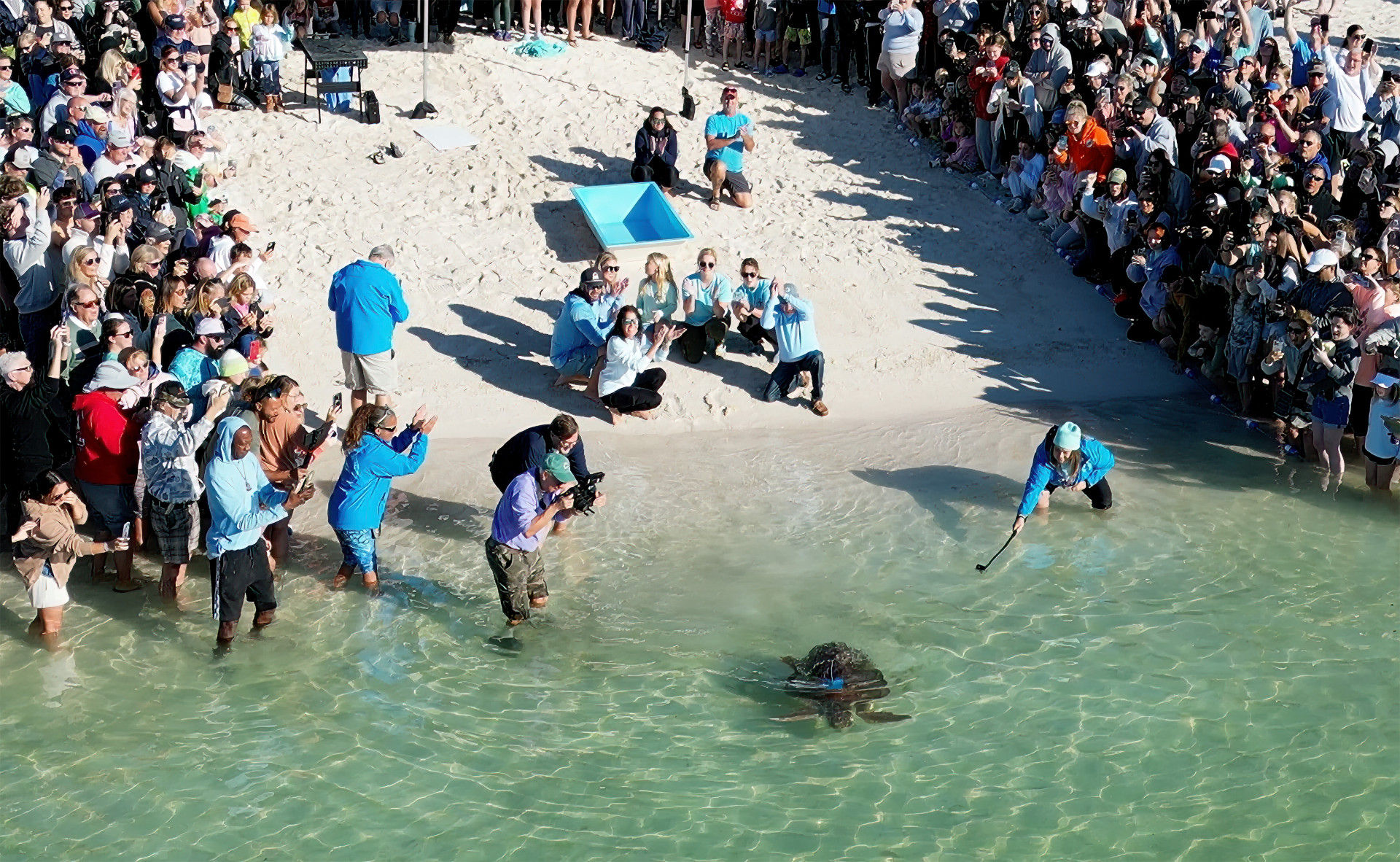 Rehabilitated Loggerhead Sea Turtle Released Off Florida Keys