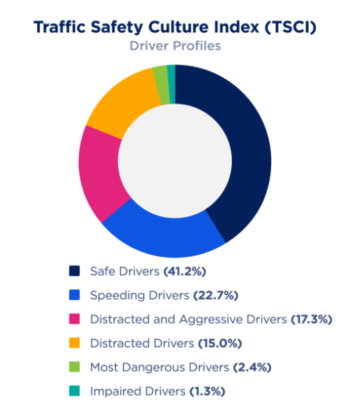 TS Culture Driver Profiles 2023_Verticle