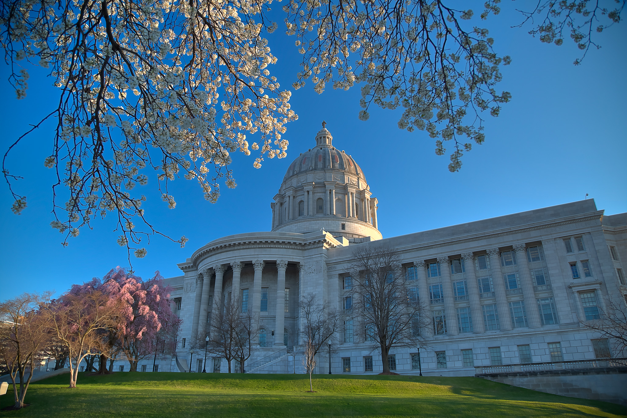 White and pink buds on dogwood and tulip trees brighten the Missouri State Capitol grounds in Jefferson City, MIssouri