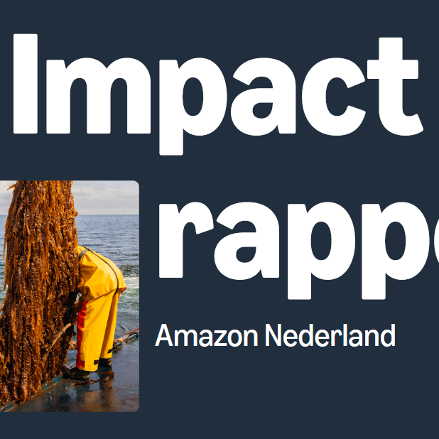 Impact Rapport