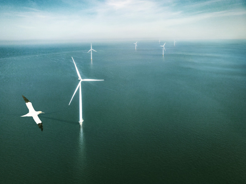 20230731_Ecowende_Edited Jan van Gent Wind Farm Overview_Credit