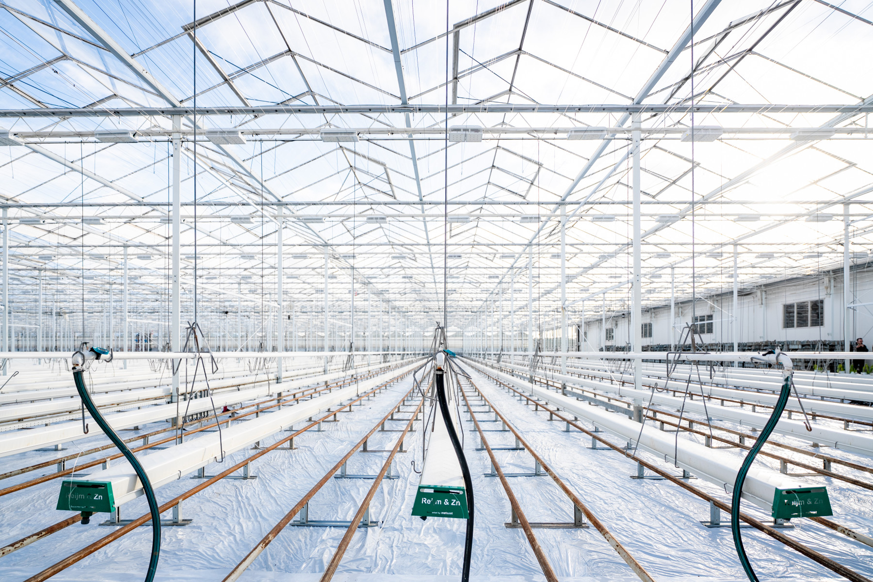 Albert Heijn, Eneco en Bakker Barendrecht versnellen verduurzaming Nederlandse glastuinbouw