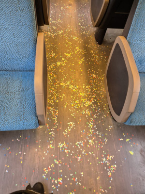 Carnavalsvierders laten puinhoop achter in trein, oproep: neem je troep mee