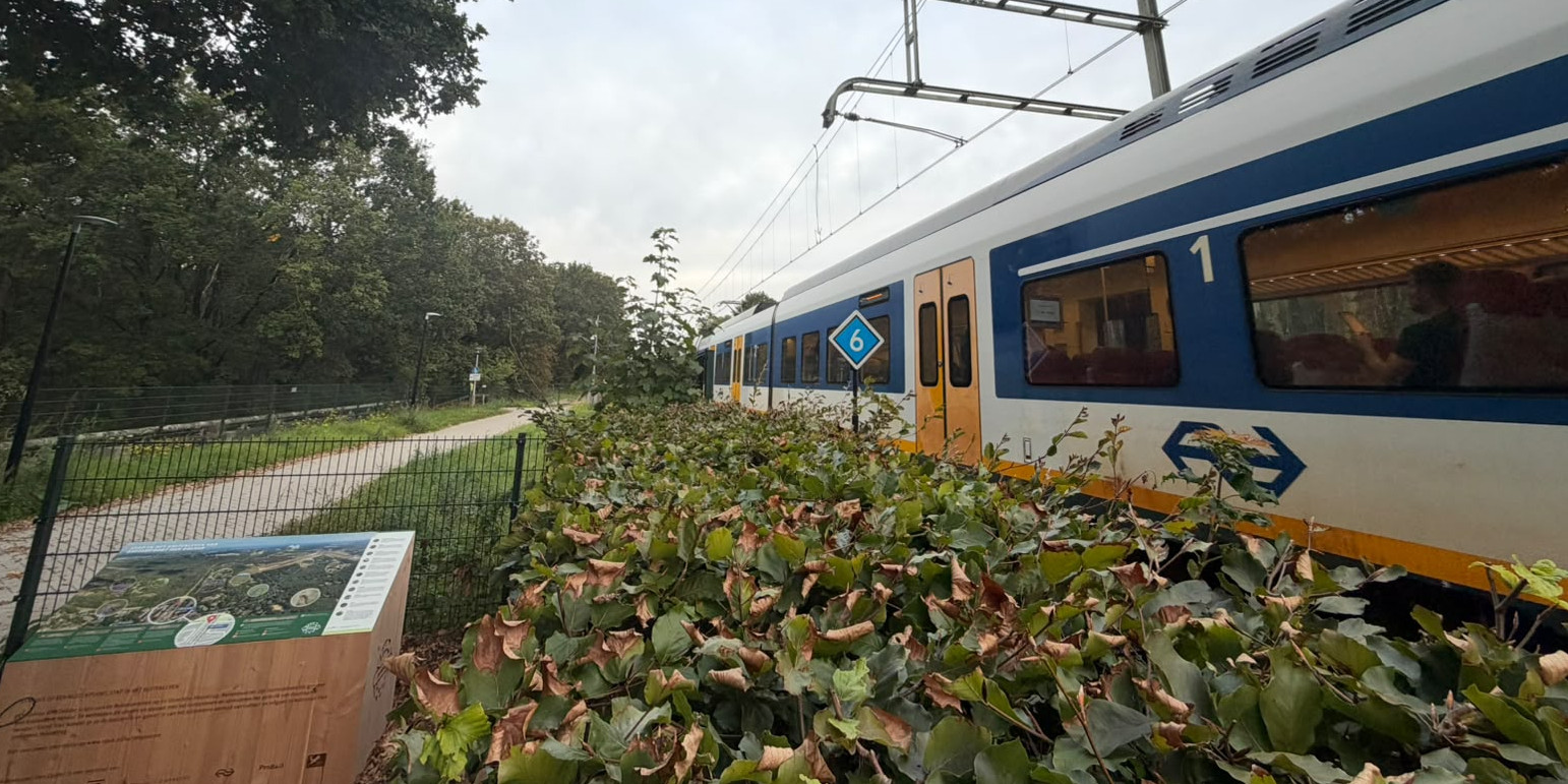 Station Den Dolder tweede ‘Buitenpoort’ naar Utrechtse Heuvelrug