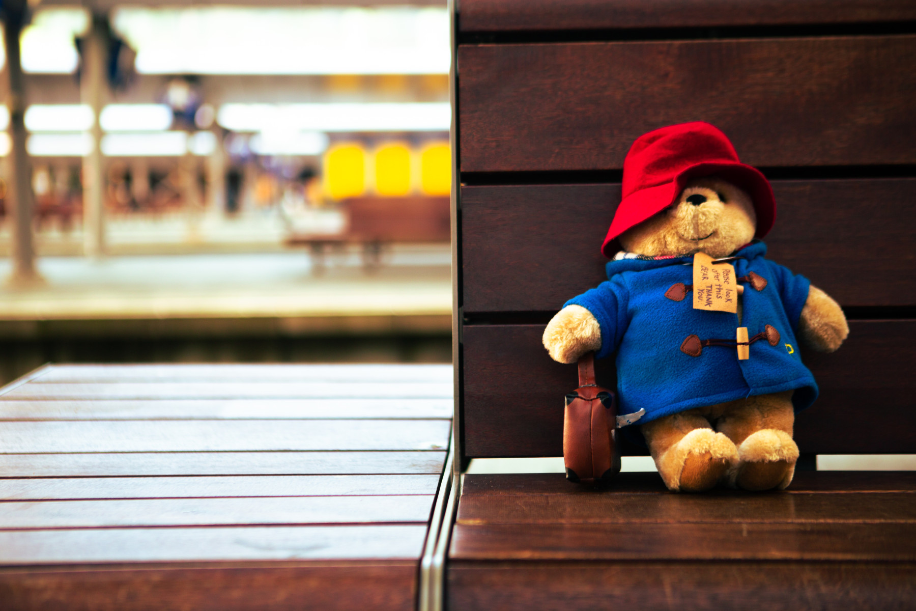 Beertje Paddington