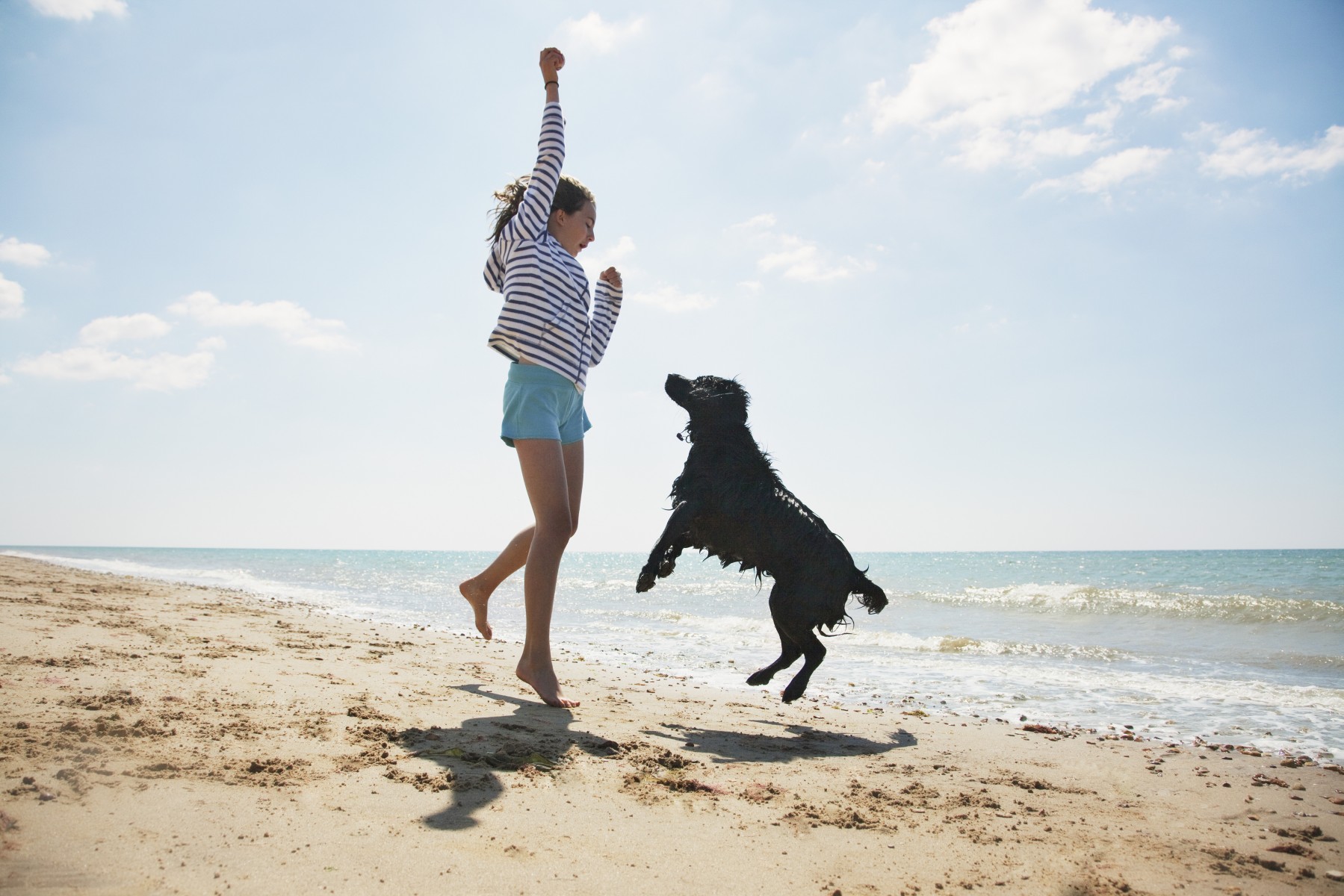 Pawesome / Purr-fect Vacations for You and Your Furry Friend - Vimarsana News