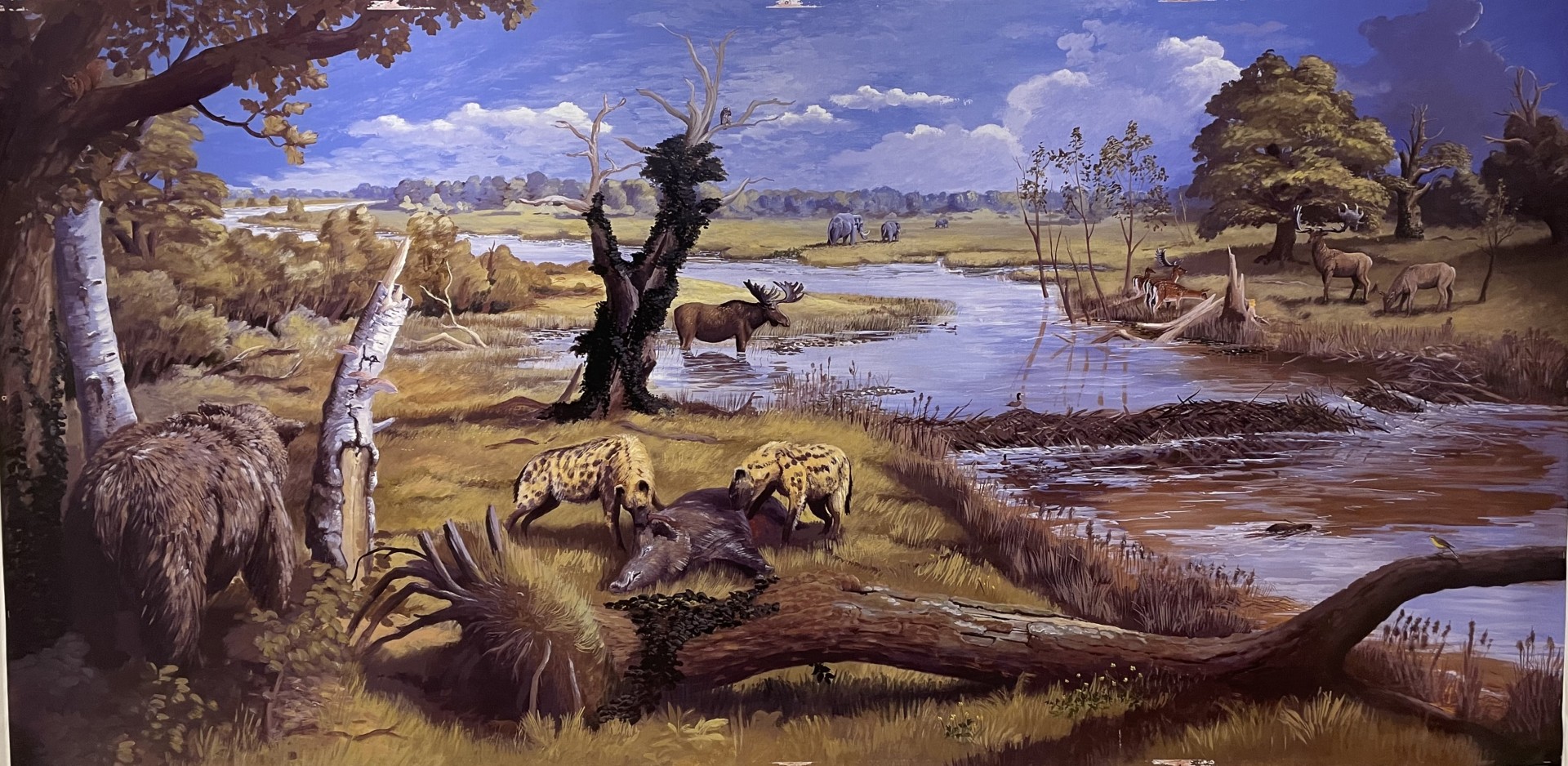 Step back in time at Hackney Museum with ‘Hackney 300,000 BC’